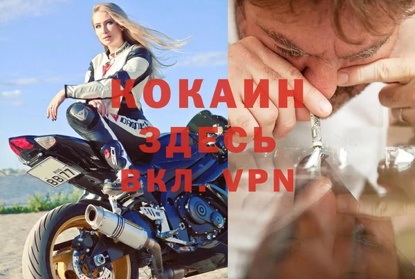 шишки Нефтегорск
