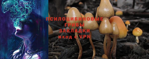 шишки Нефтегорск