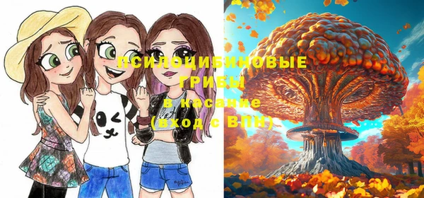 эйфоретик Нефтекумск