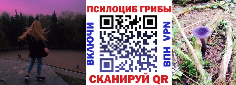 Псилоцибиновые грибы прущие грибы  Змеиногорск 