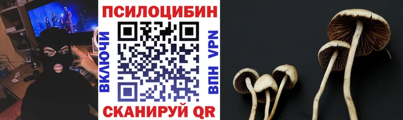 Галлюциногенные грибы ЛСД Змеиногорск