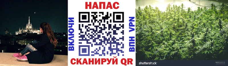 Бошки Шишки Bruce Banner  наркошоп  Змеиногорск 